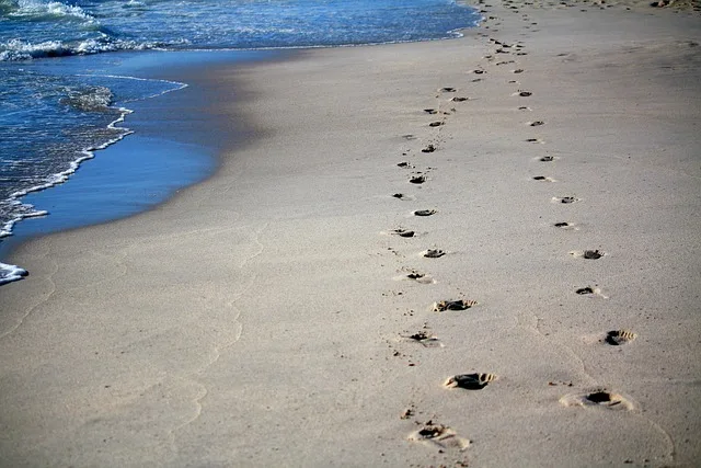 Pegadas na Areia: A Poesia que Transforma&hellip;